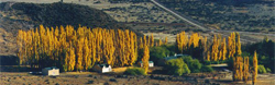 Alta Vista Inn